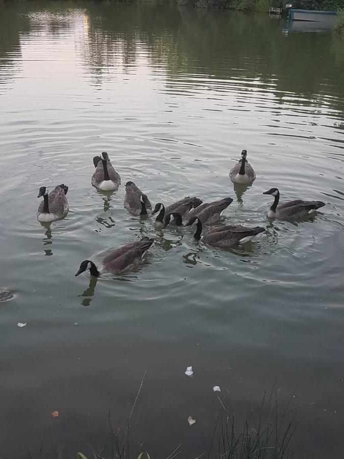 נוטינגהאם Elton Barn Fishery & Retreat מראה חיצוני תמונה