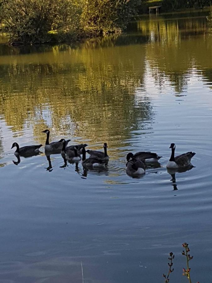 נוטינגהאם Elton Barn Fishery & Retreat מראה חיצוני תמונה
